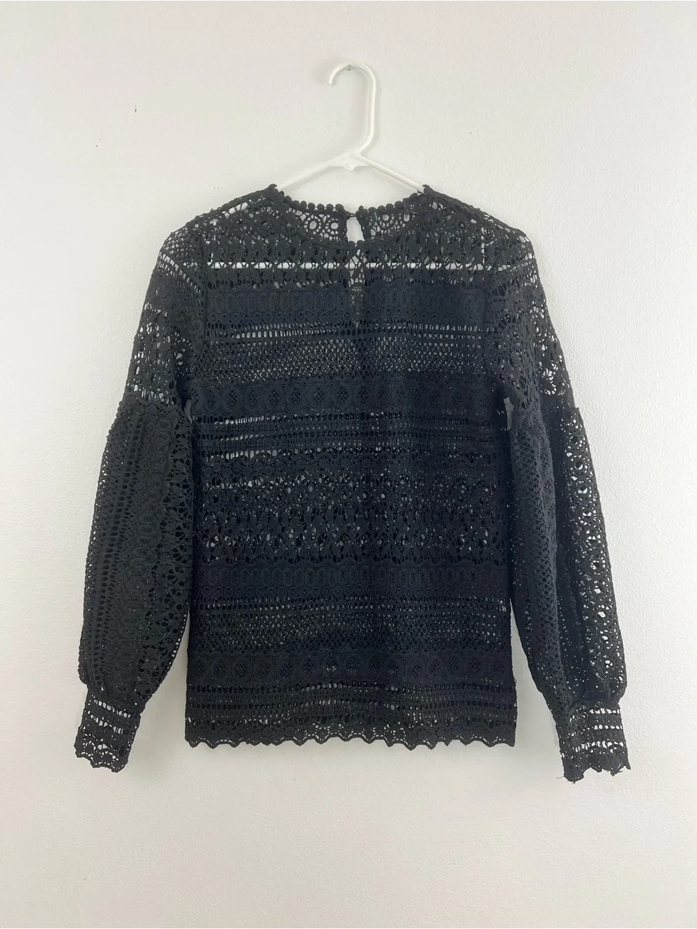 Zara Black Crochet Lace Long Sleeve Blouse Sheer Balloon Sleeve Top 2 Whimsigoth